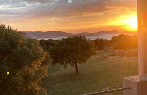 Propriété de 15 000 m² de terrain arboré, villa de 223 m² avec piscine