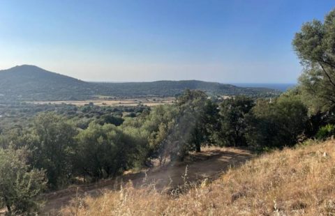 Terrain de 2760 m2 à 5mn des plages (Belgodère)