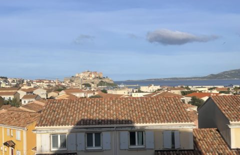 Calvi ,très Beau T2 avec grande loggia fermée , et vue sur la mer